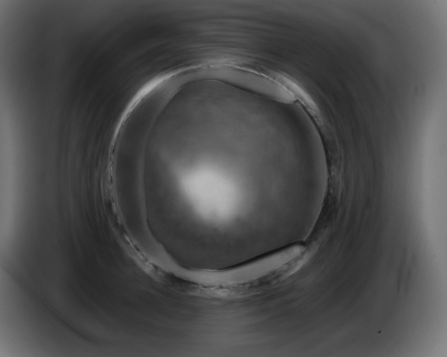 X0000087010948200704161539