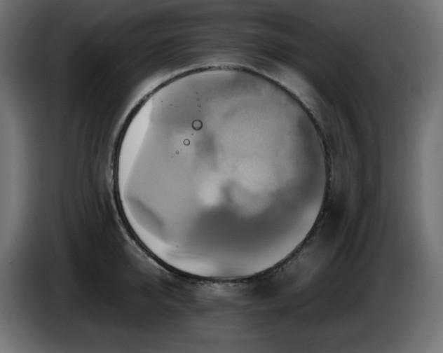 X0000087010950200704161539