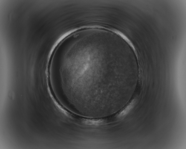X0000087010951200704161539