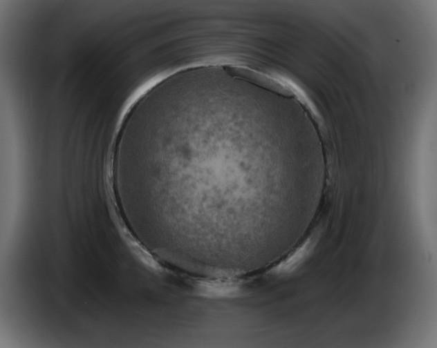 X0000087010952200704161539