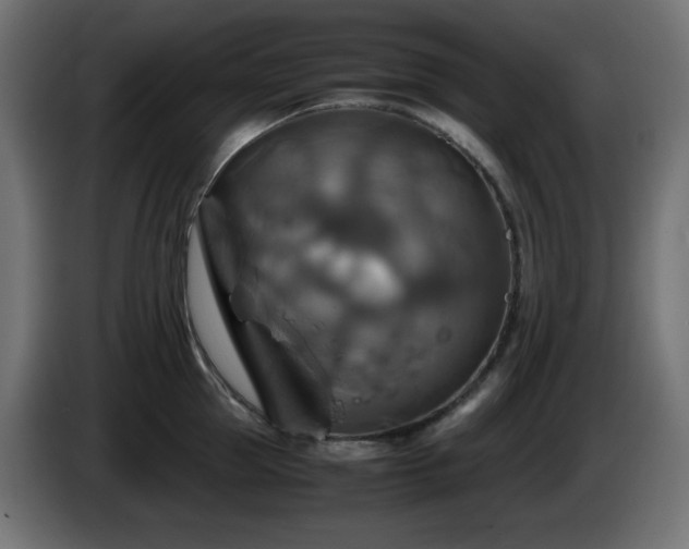 X0000087010953200704161539