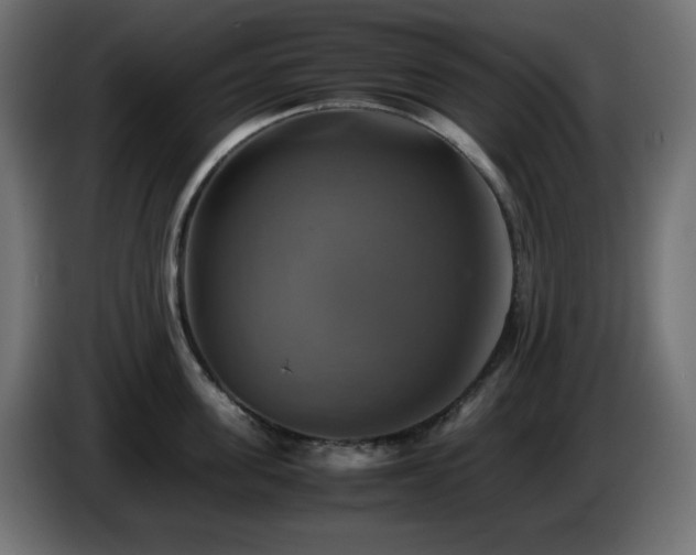 X0000087010955200704161539