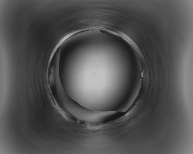X0000087010956200704161539