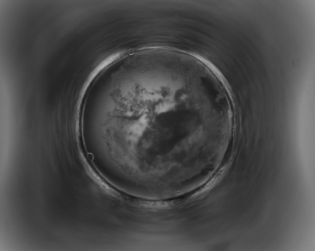 X0000087010957200704161539