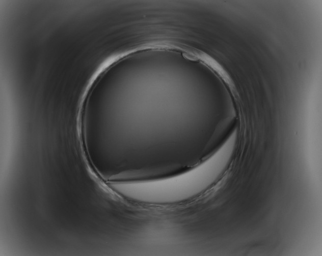 X0000087010958200704161539