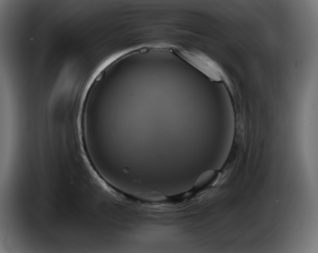 X0000087010959200704161539