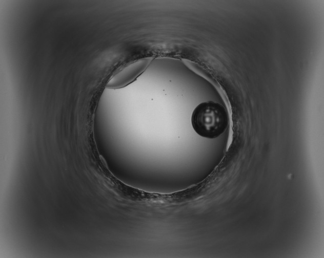 X0000087010961200704161539