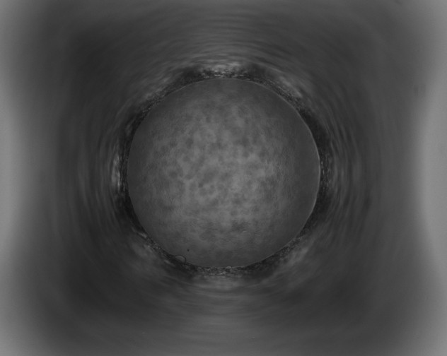 X0000087010962200704161539