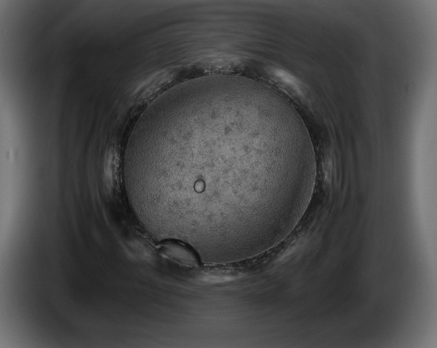 X0000087010964200704161539