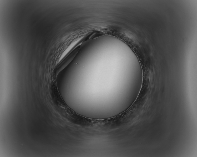 X0000087010965200704161539