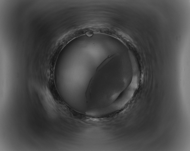 X0000087010966200704161539