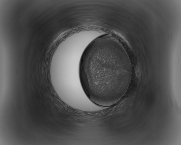X0000087010968200704161539