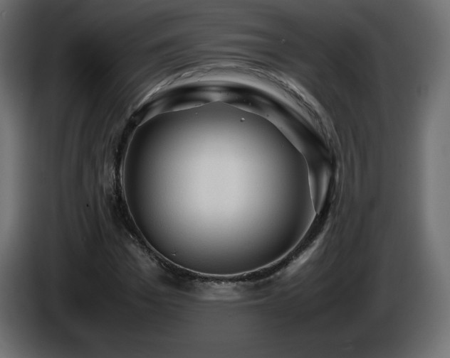 X0000087010969200704161539