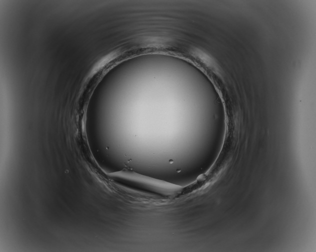 X0000087010970200704161539