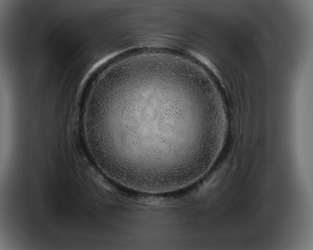 X0000087010971200704161539
