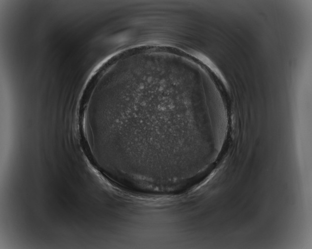 X0000087010972200704161539