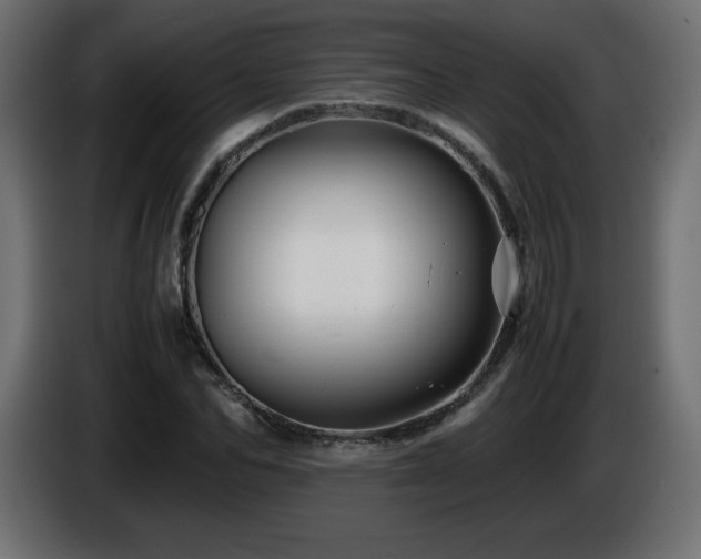 X0000087010974200704161539
