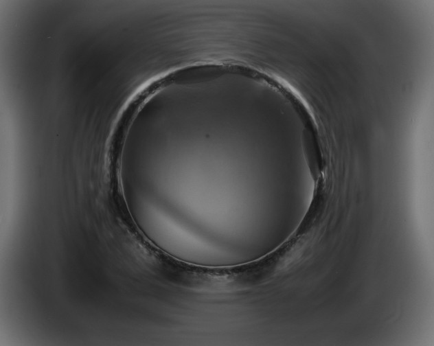 X0000087010975200704161539