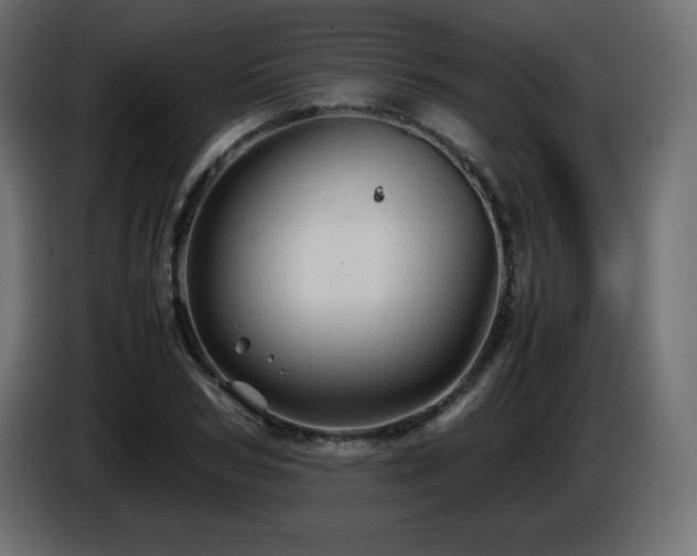 X0000087010978200704161539