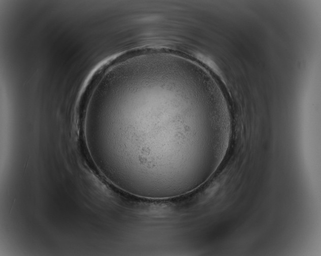 X0000087010979200704161539