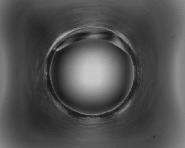 X0000087010981200704161539