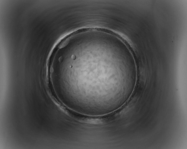 X0000087010982200704161539