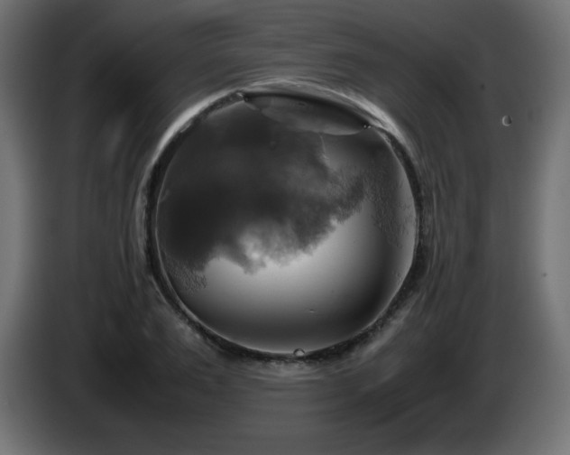 X0000087010983200704161539