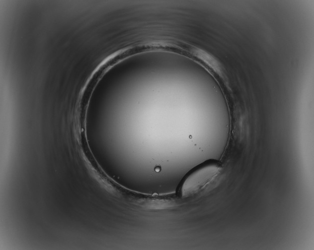 X0000087010984200704161539