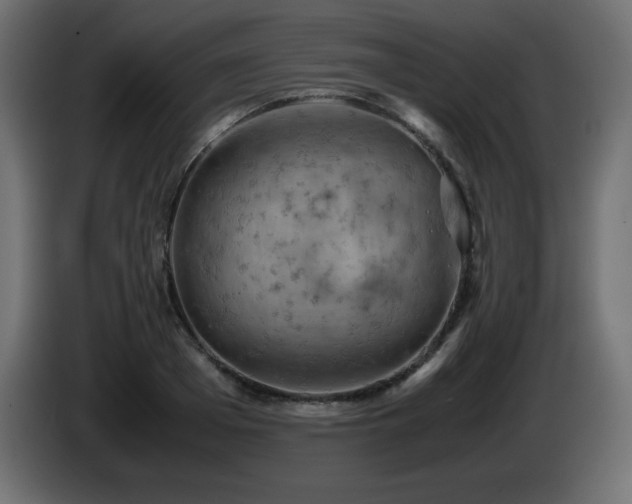 X0000087010985200704161539