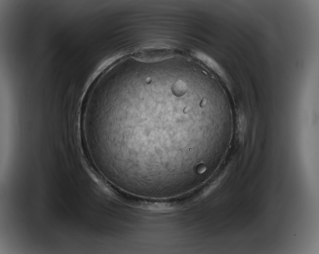 X0000087010986200704161539