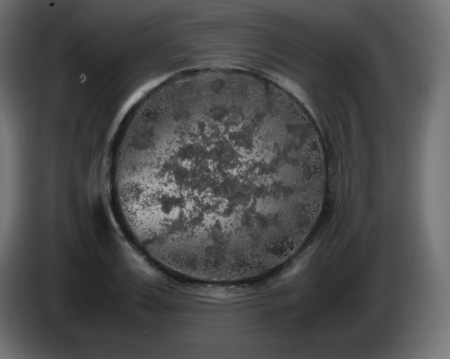 X0000087010987200704161539