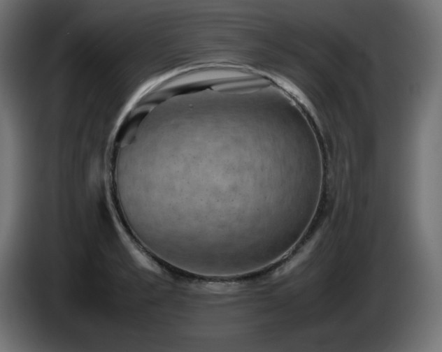 X0000087010989200704161539