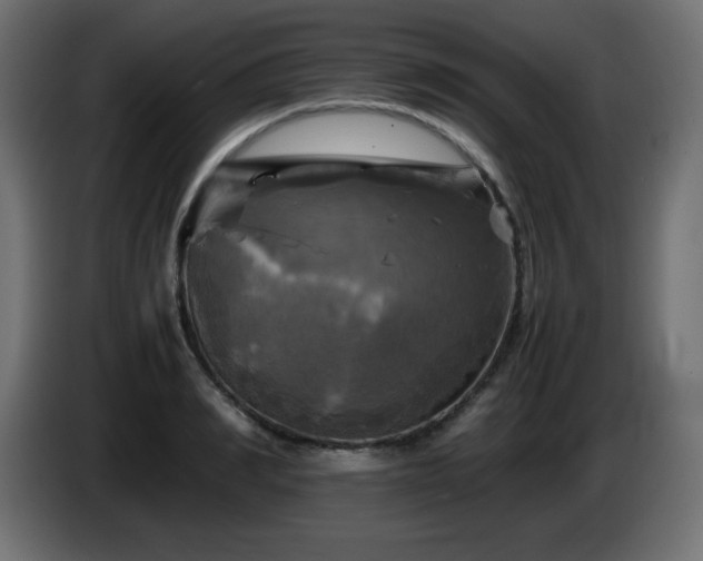 X0000087010990200704161539