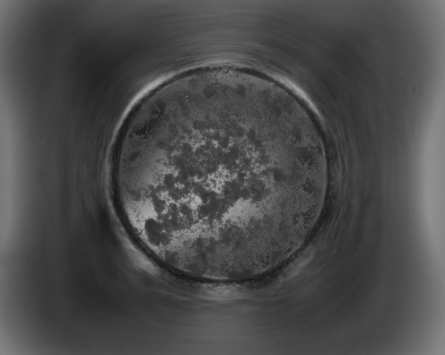 X0000087010991200704161539