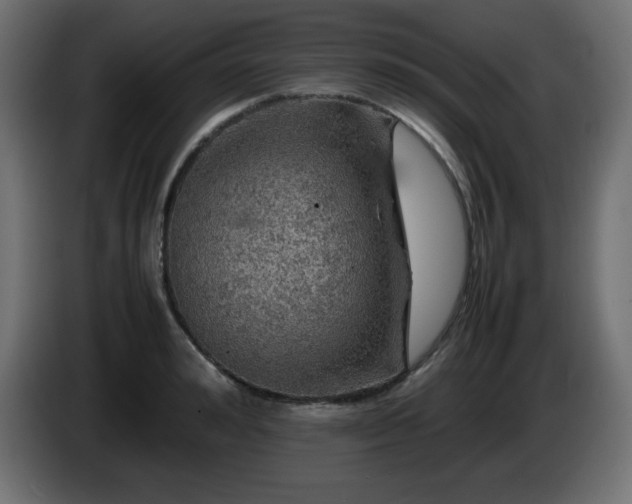 X0000087010992200704161538