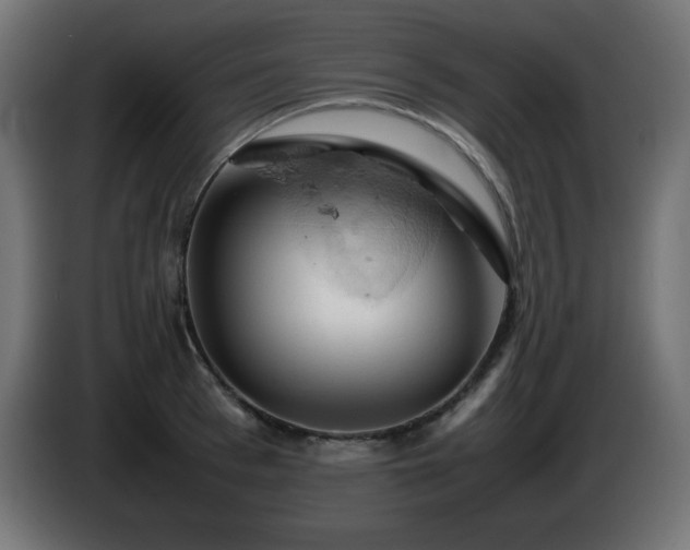 X0000087010993200704161538
