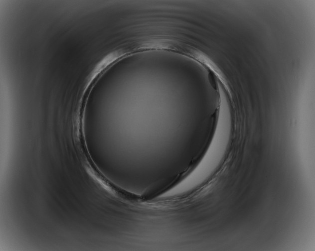 X0000087010994200704161538