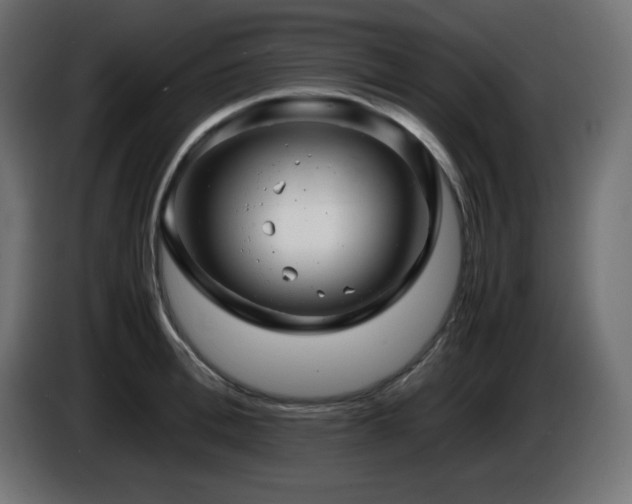 X0000087010996200704161538