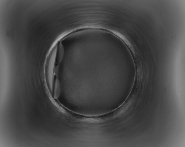 X0000087010998200704161538