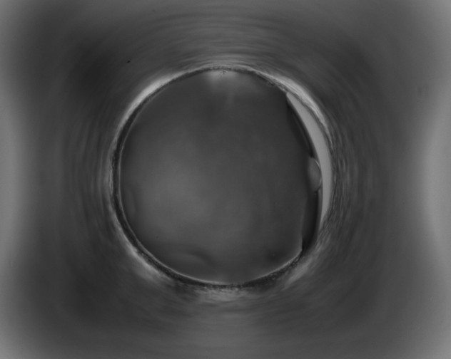 X0000087010999200704161538