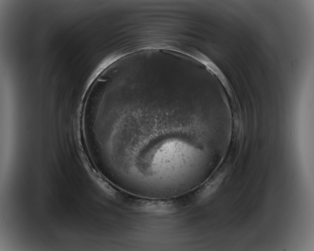 X0000087011002200704161538