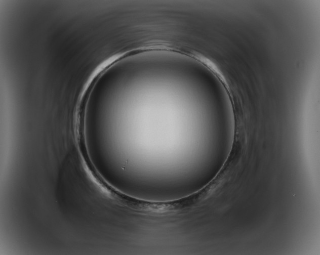 X0000087011003200704161538