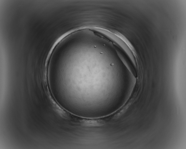 X0000087011004200704161538