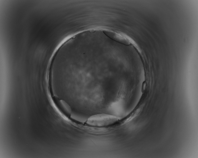 X0000087011007200704161538