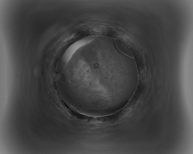 X0000087011009200704161538