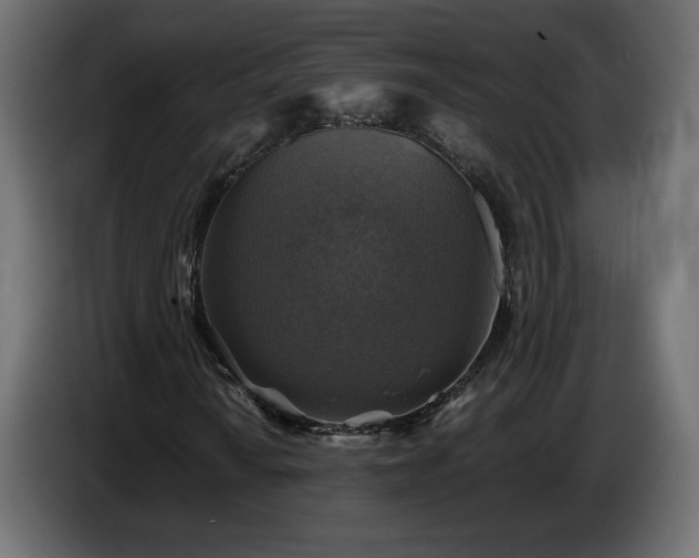 X0000087011010200704161538