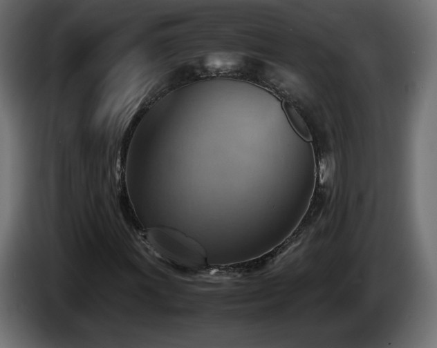 X0000087011011200704161538
