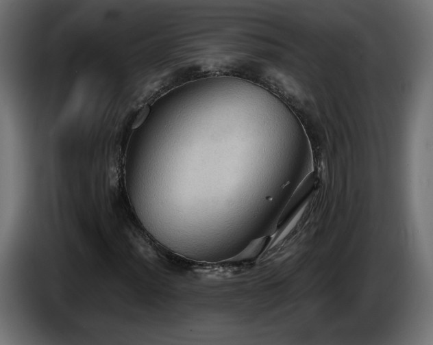 X0000087011012200704161538