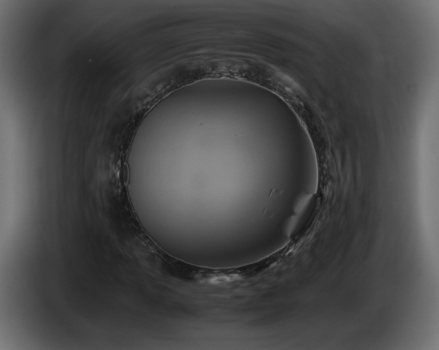 X0000087011013200704161538