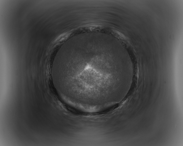 X0000087011014200704161538